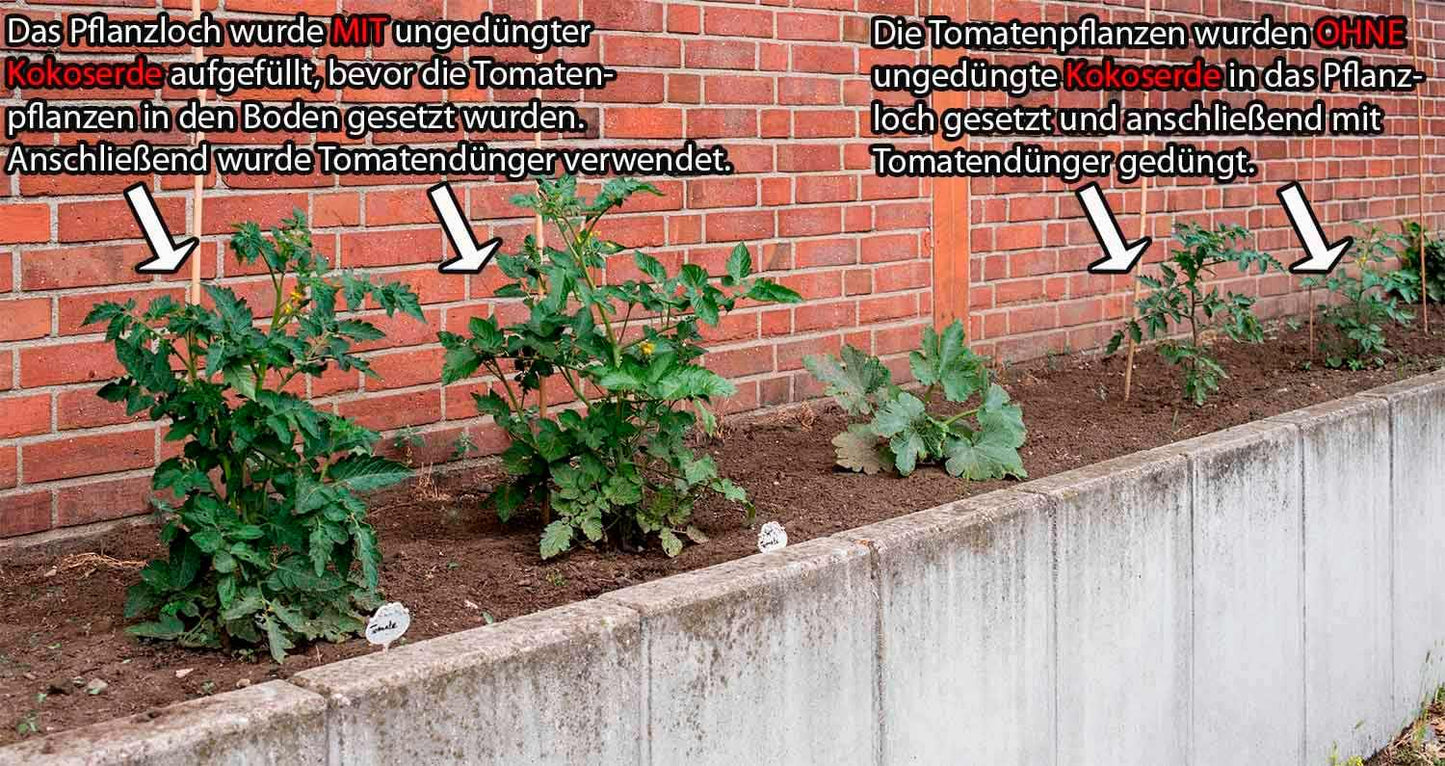 5kg gepresste Kokoserde mit Perlite Anwendungsbeispiel