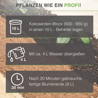10X Kokoserde / Kokosziegel / Kokossubstrat / Kokoshumus