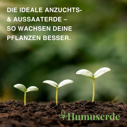 10X Terrariensubstrat / Einstreu / Bodengrund