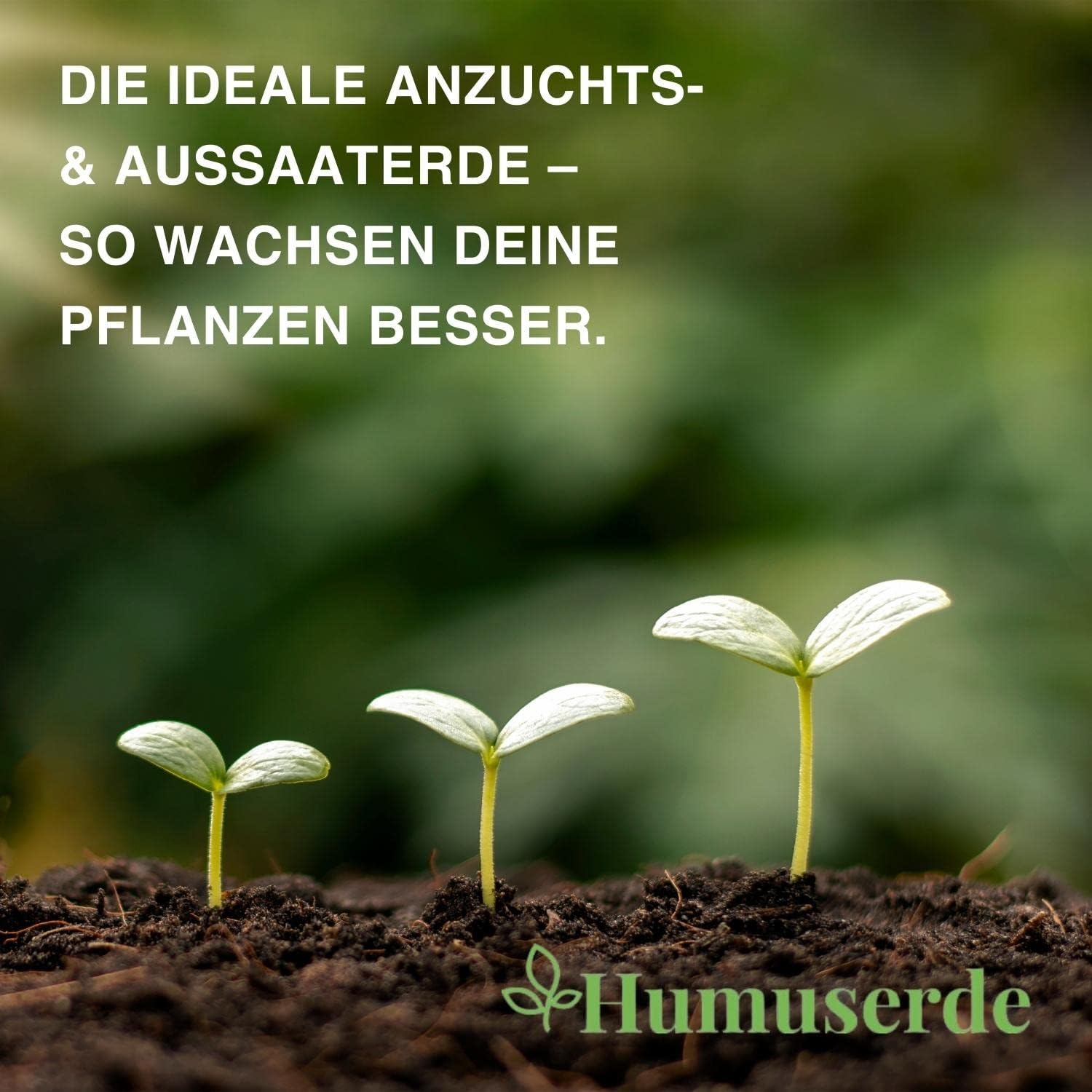 5kg gepresste Kokoserde mit Perlite: Die ideale Anzuchts- und Aussaaterde