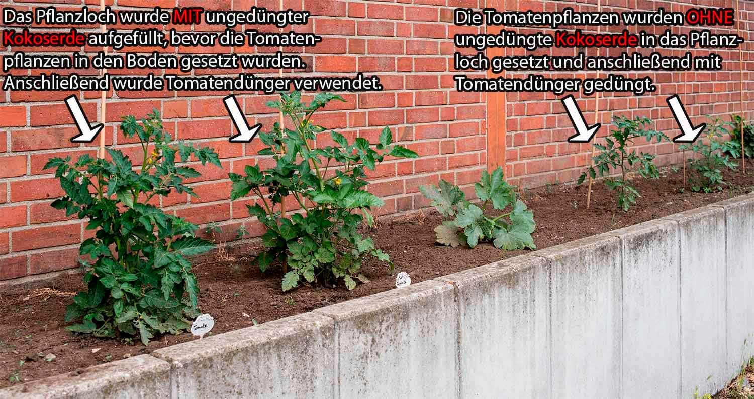 5kg gepresste Kokoserde mit Perlite Anwendungsbeispiel